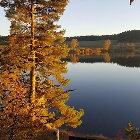 Ferienwohnung Am Kirnbergsee Unterbrand エクステリア 写真